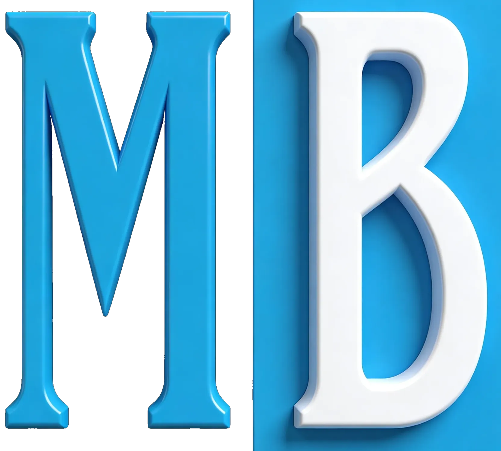 MBSO Mobile App for wholesale sales order management with TallyPrime - Global Software