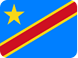 Flag of Democratic Republic Of Congo - Tally Global Software