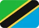 Flag of Tanzania - Tally Global Software